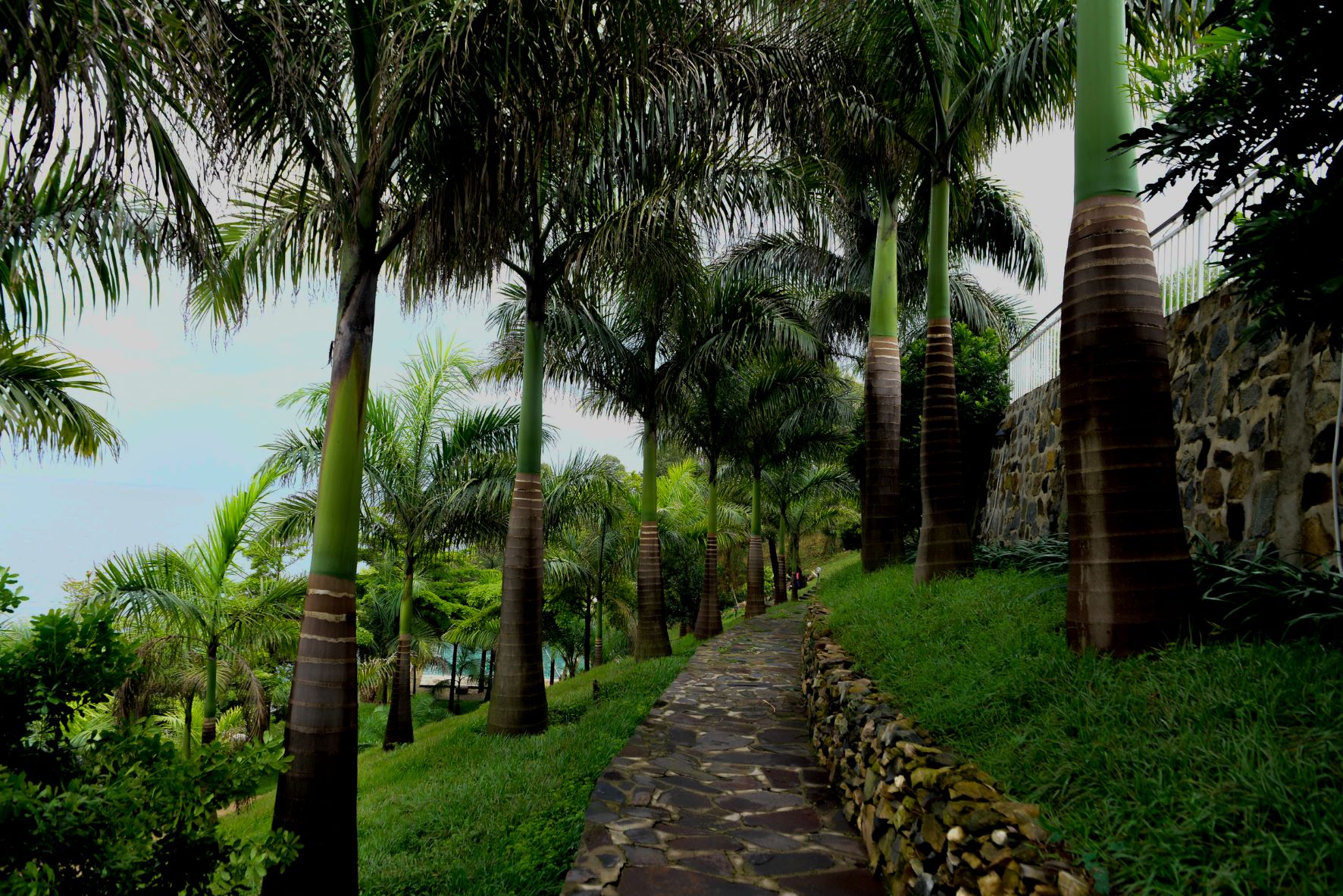 Moriah Hill Resort thumbnail 5